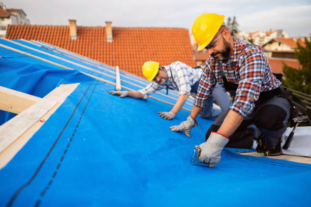 Fast & Reliable Emergency Roof Repairs in Bel Nor, MO